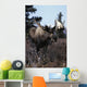Bull Moose Wall Mural