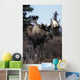 Bull Moose Wall Mural