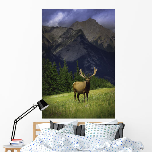 Wildlife In The Mountains Wall Mural