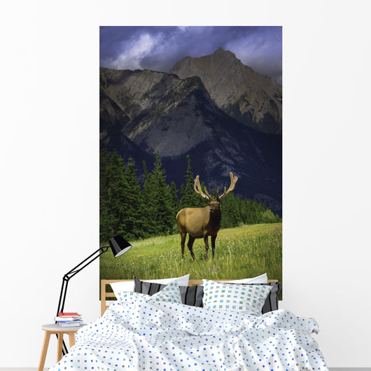 Wildlife In The Mountains Wall Mural