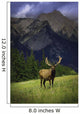 Wildlife In The Mountains Wall Mural