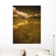 Golden Landscape Wall Mural