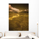 Golden Landscape Wall Mural