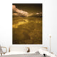 Golden Landscape Wall Mural