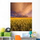 Sunset On A Canola Field Wall Mural