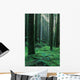 rainforest Wall Mural