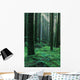 rainforest Wall Mural