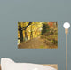 Autumn Forest and Path