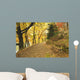 Autumn Forest and Path