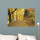 Autumn Forest and Path