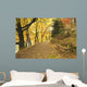 Autumn Forest and Path