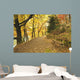 Autumn Forest and Path