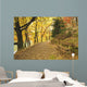 Autumn Forest and Path