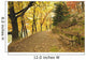 Autumn Forest and Path