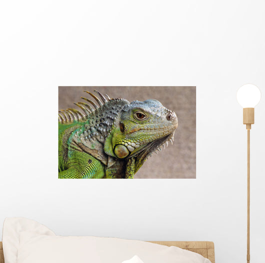 Iguana Profile Wall Mural