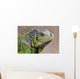 Iguana Profile Wall Mural