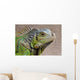 Iguana Profile Wall Mural