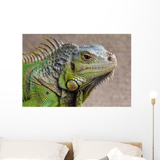 Iguana Profile Wall Mural