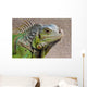 Iguana Profile Wall Mural