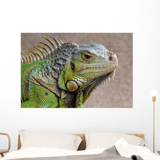 Iguana Profile Wall Mural