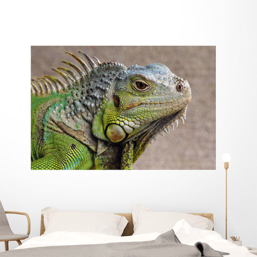 Iguana Profile Wall Mural
