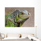 Iguana Profile Wall Mural