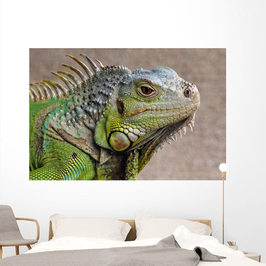 Iguana Profile Wall Mural
