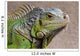Iguana Profile Wall Mural
