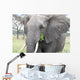 Elephant Tarangire Wall Mural