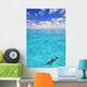 Dolphins Swimming Wall Mural