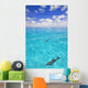 Dolphins Swimming Wall Mural
