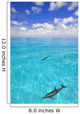 Dolphins Swimming Wall Mural
