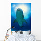 Tiger Shark Wall Mural