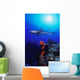 Caribbean Reef Shark Wall Mural