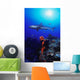 Caribbean Reef Shark Wall Mural