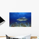Lemon Shark Wall Mural