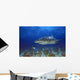 Lemon Shark Wall Mural