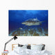 Lemon Shark Wall Mural