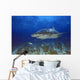 Lemon Shark Wall Mural