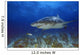Lemon Shark Wall Mural