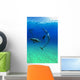 Atlantic Spotted Dolphins In The Bahamas Wall Mural