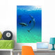 Atlantic Spotted Dolphins In The Bahamas Wall Mural