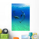 Atlantic Spotted Dolphins In The Bahamas Wall Mural