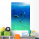 Atlantic Spotted Dolphins In The Bahamas Wall Mural