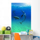 Atlantic Spotted Dolphins In The Bahamas Wall Mural