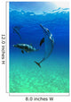 Atlantic Spotted Dolphins In The Bahamas Wall Mural