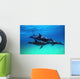 Atlantic Spotted Dolphins Wall Mural