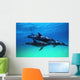 Atlantic Spotted Dolphins Wall Mural