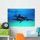 Atlantic Spotted Dolphins Wall Mural