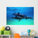 Atlantic Spotted Dolphins Wall Mural